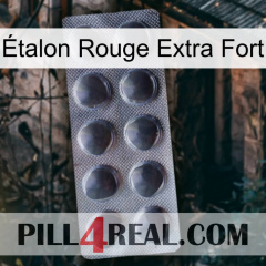 Étalon Rouge Extra Fort 30